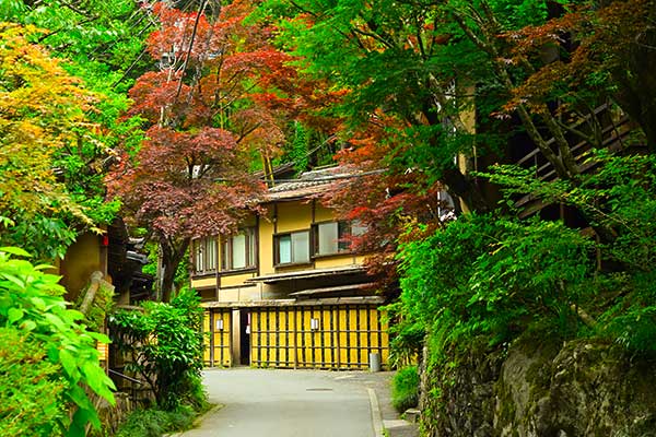 Take no Michi bamboo path in Kyoto's Nishikyo district with traditional bamboo fences