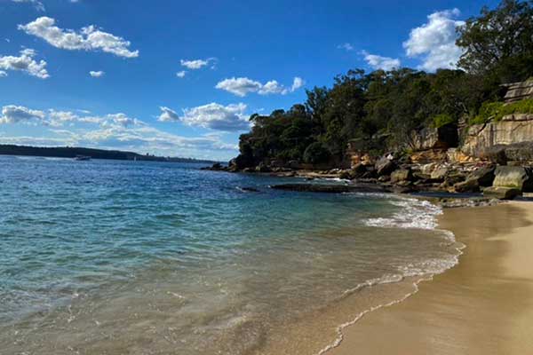 Shark Beach at Nielsen Park Sydney Harbour with city views