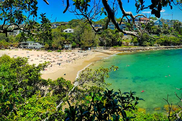 Shelly Beach near Manly Sydney with calm turquoise water and bushland