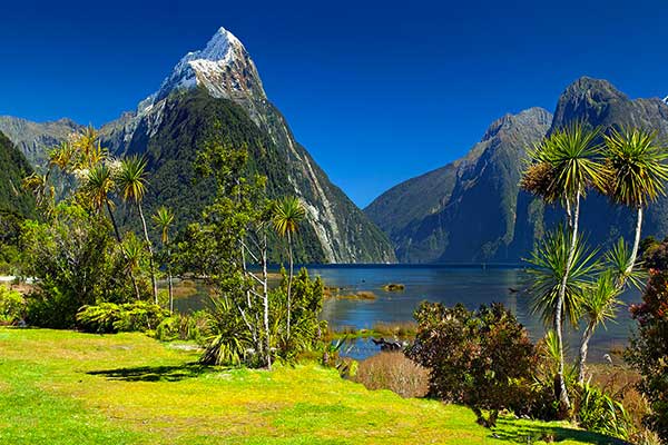 Small cruise boat surrounded by the mountains of Milford Sound
