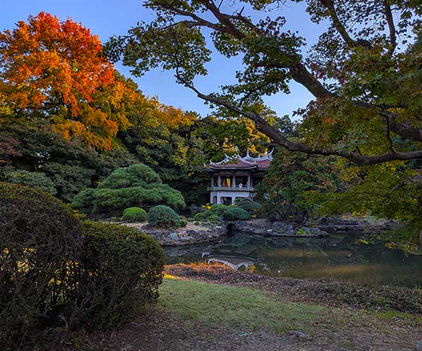 Walking path through Kyoto Gyoen National Garden near the Imperial Palace