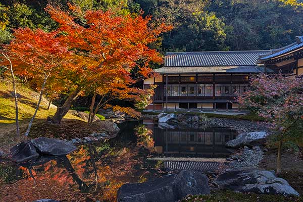 Murin-an garden in Kyoto with moss, trees and a natural flowing stream