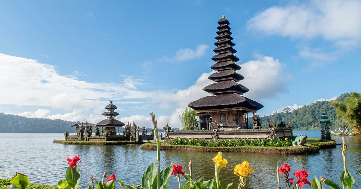 Aerial view of Bali's terraced rice fields meeting the coast, with turquoise water and tropical islands visible in the distance